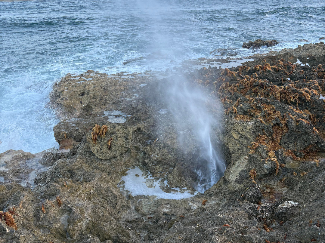 Joe Tourist Outdoor Adventures-乔治城必去景点