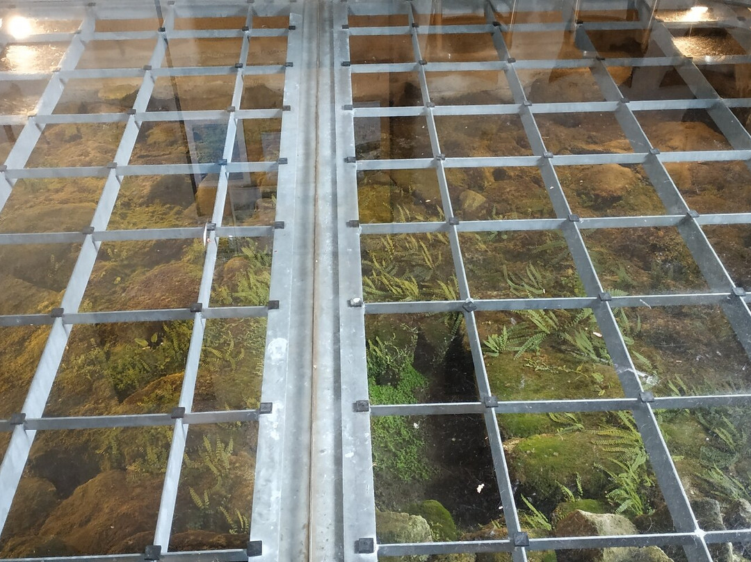 Chiesa della Madonna delle Nevi-Santa Fiora必去景点