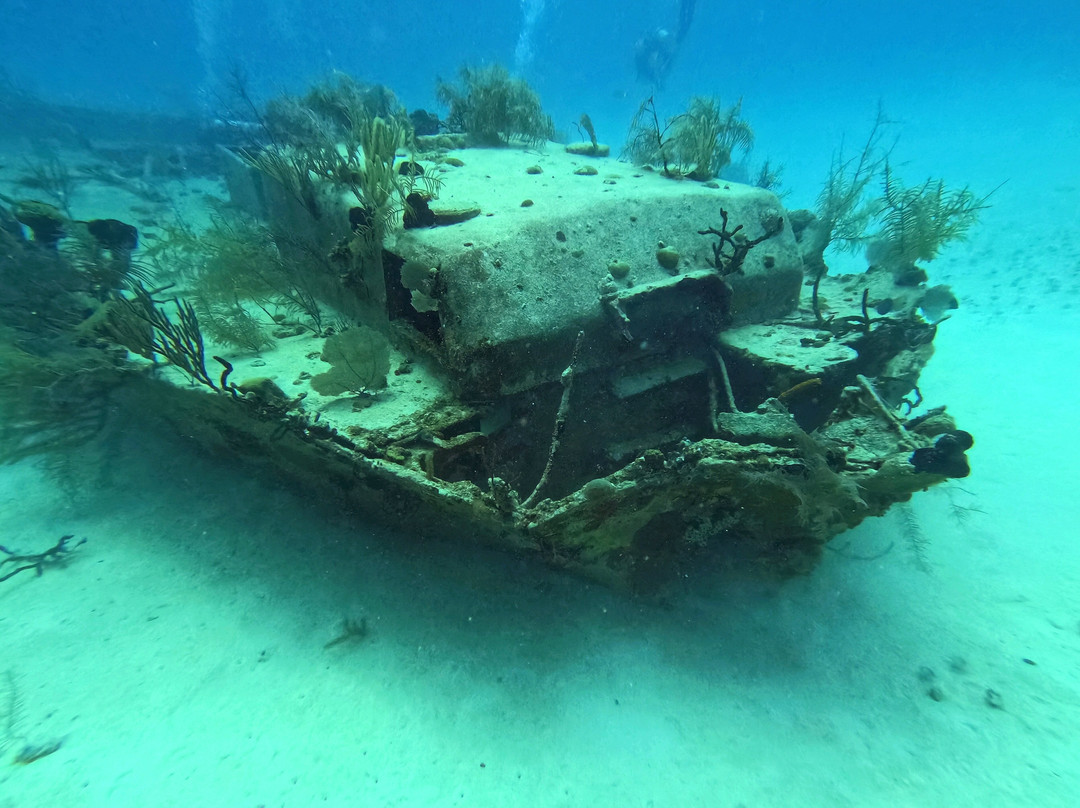 Marinas Gaviota-Cayo Coco必去景点