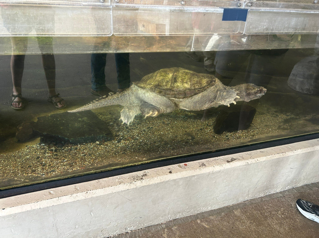 Great Lakes Aquarium-德卢斯必去景点