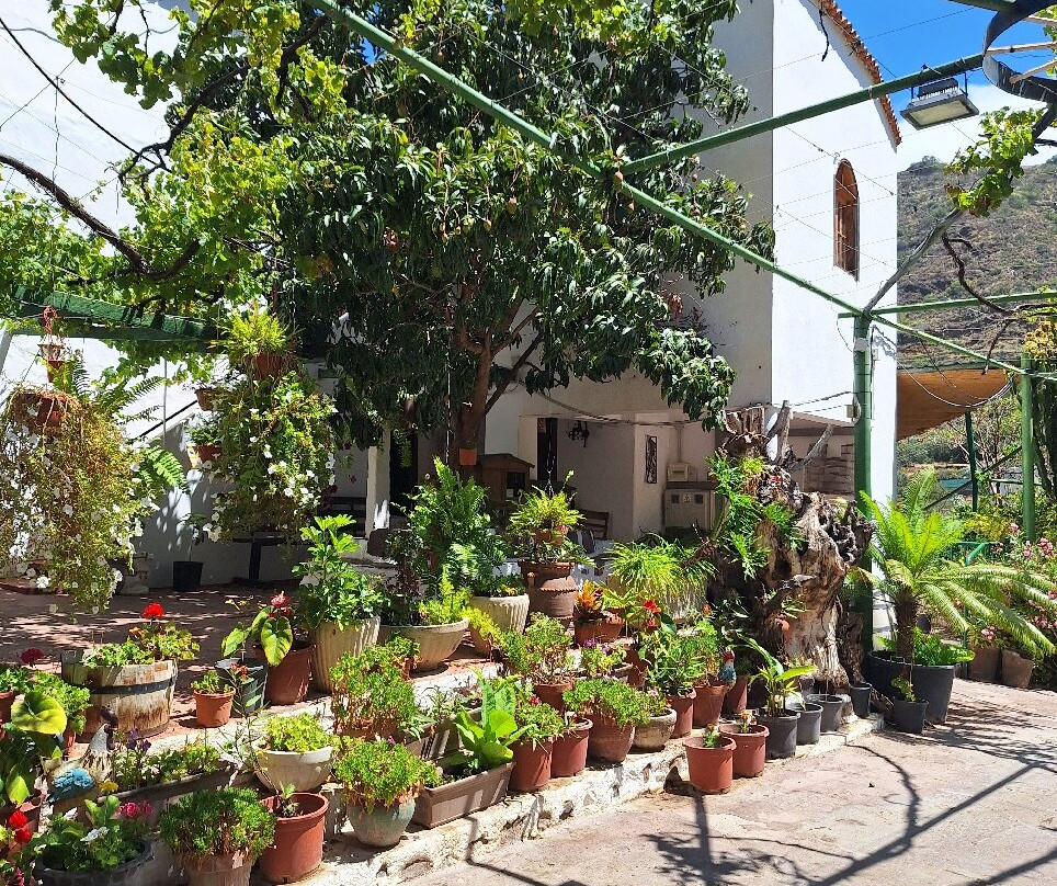 Bodega Los Berrazales-Agaete必去景点