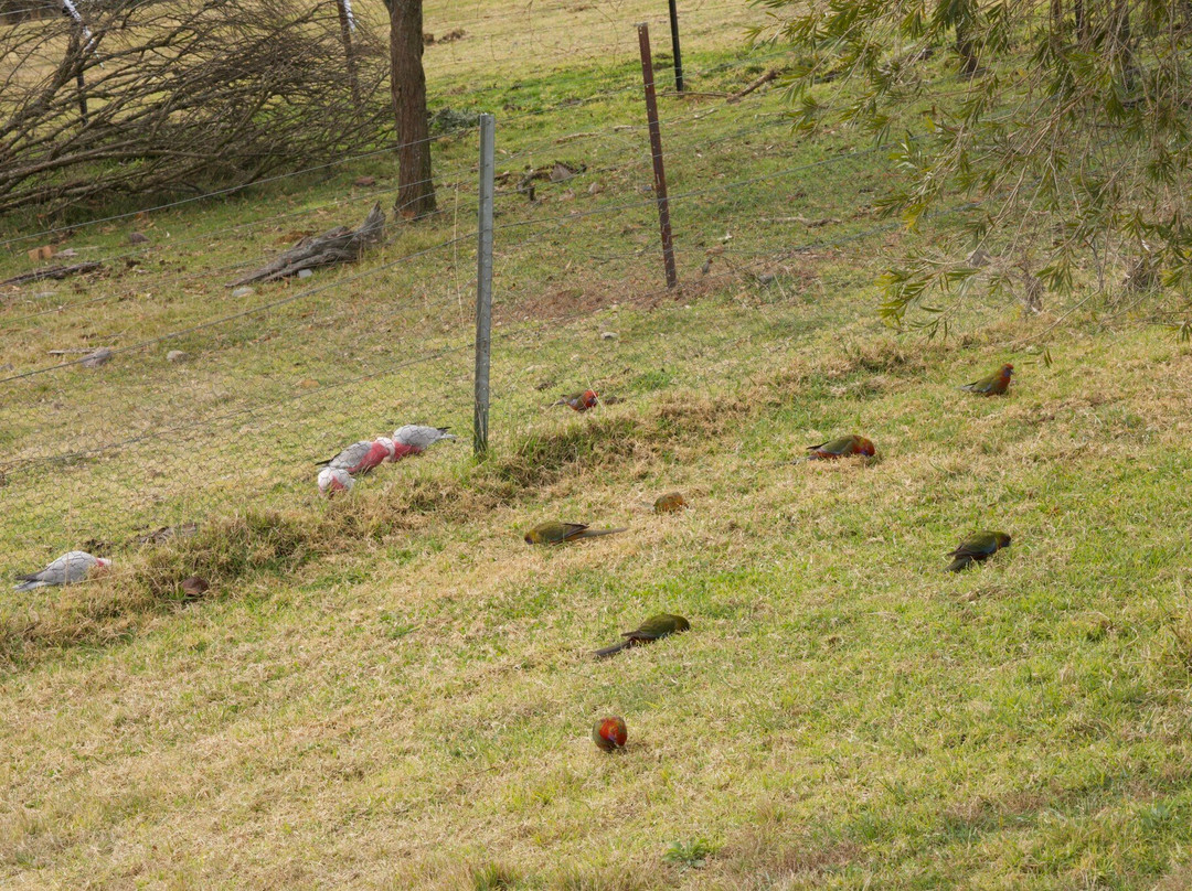 Springmead B&B主图