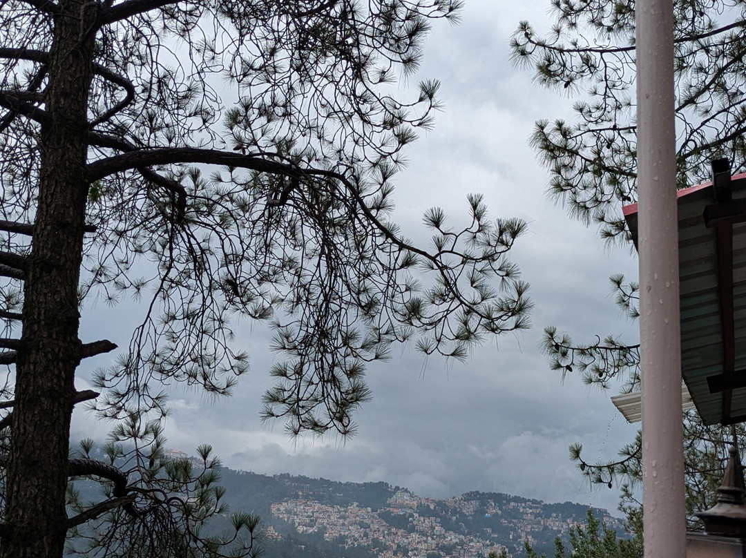 8fold  By Larisa, Shimla主图