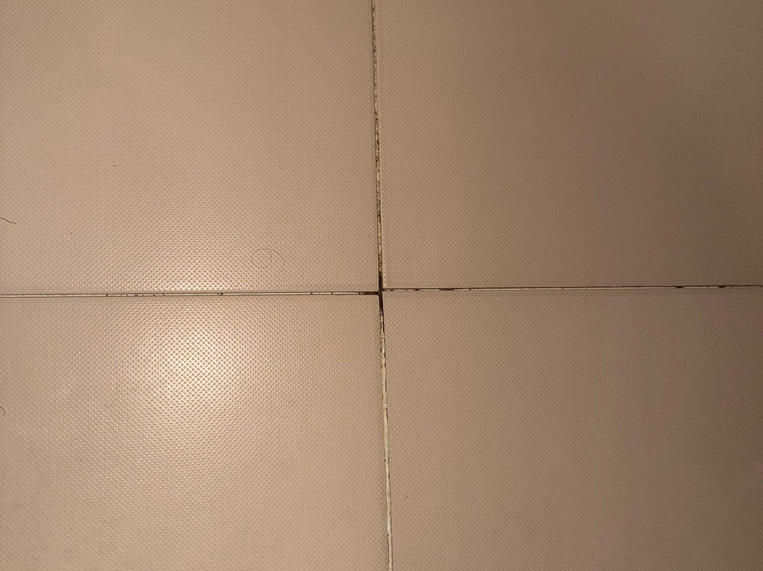 LIDOTEL Paraguaná主图