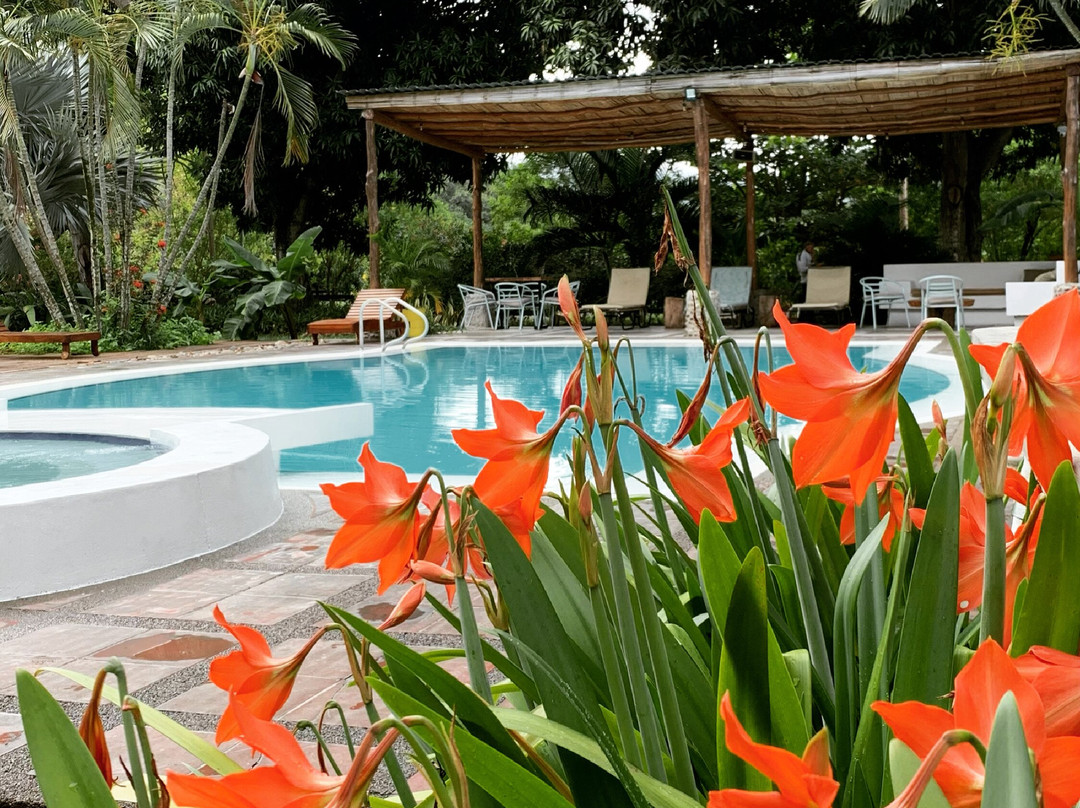 Waka Hotel Rural主图