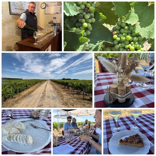 Domaine De Roche Blonde - Christophe Gaudron