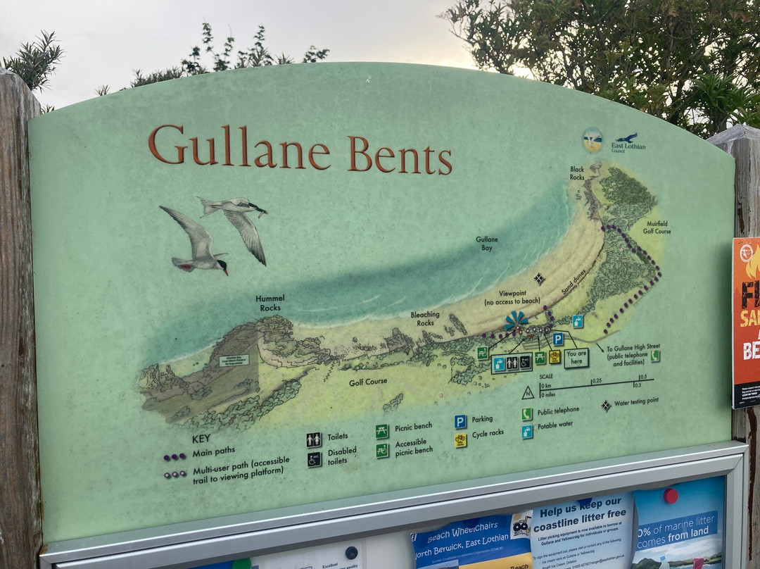 Gullane Beach-Gullane必去景点