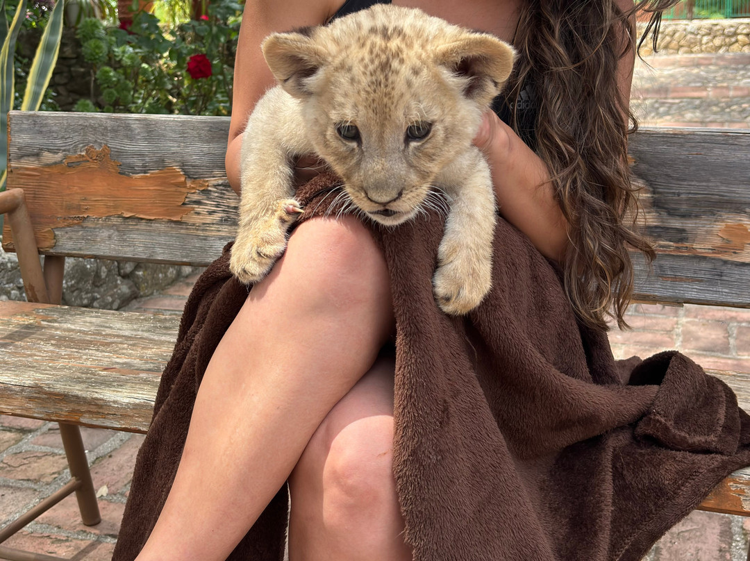 Zoo Safari Fauna Aventura-Hinojosa de San Vicente必去景点