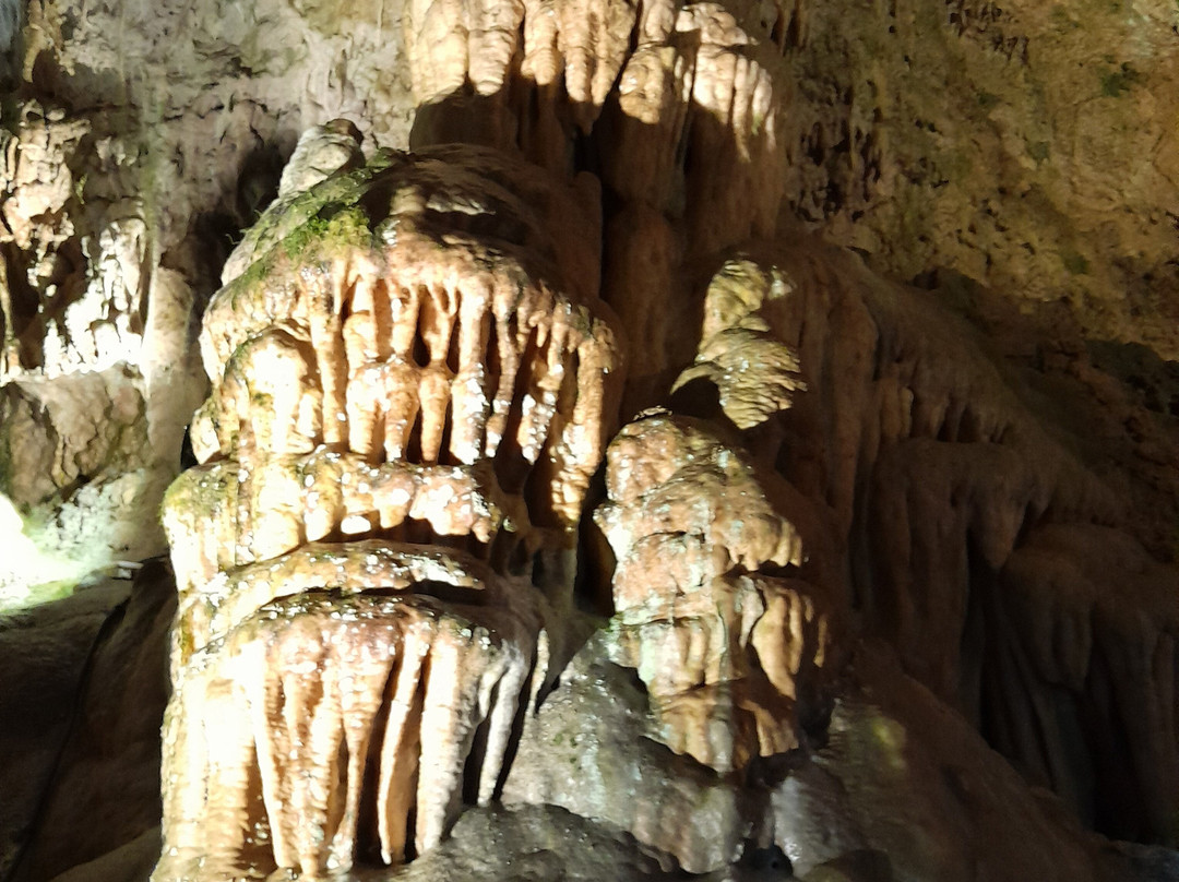 Bärenhöhle-Sonnenbuehl必去景点