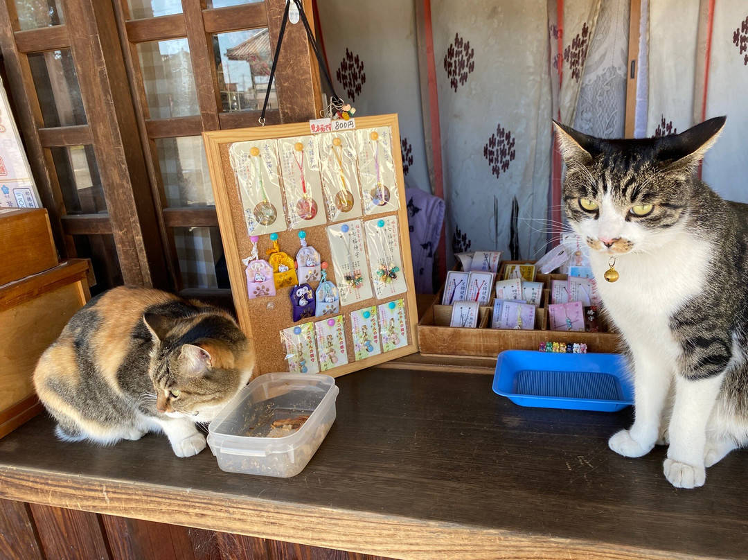 Sakitama Shrine-行田市必去景点