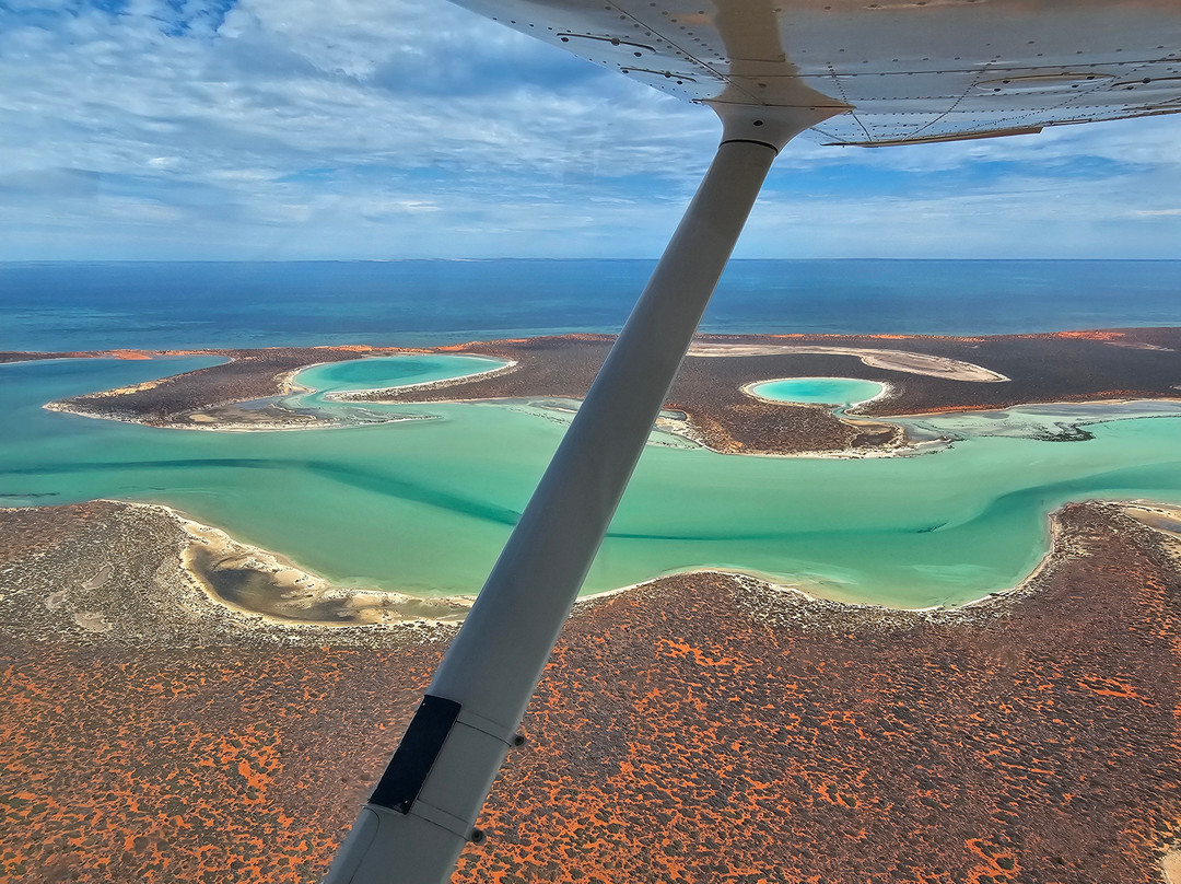 Shark Bay Aviation-德纳姆必去景点