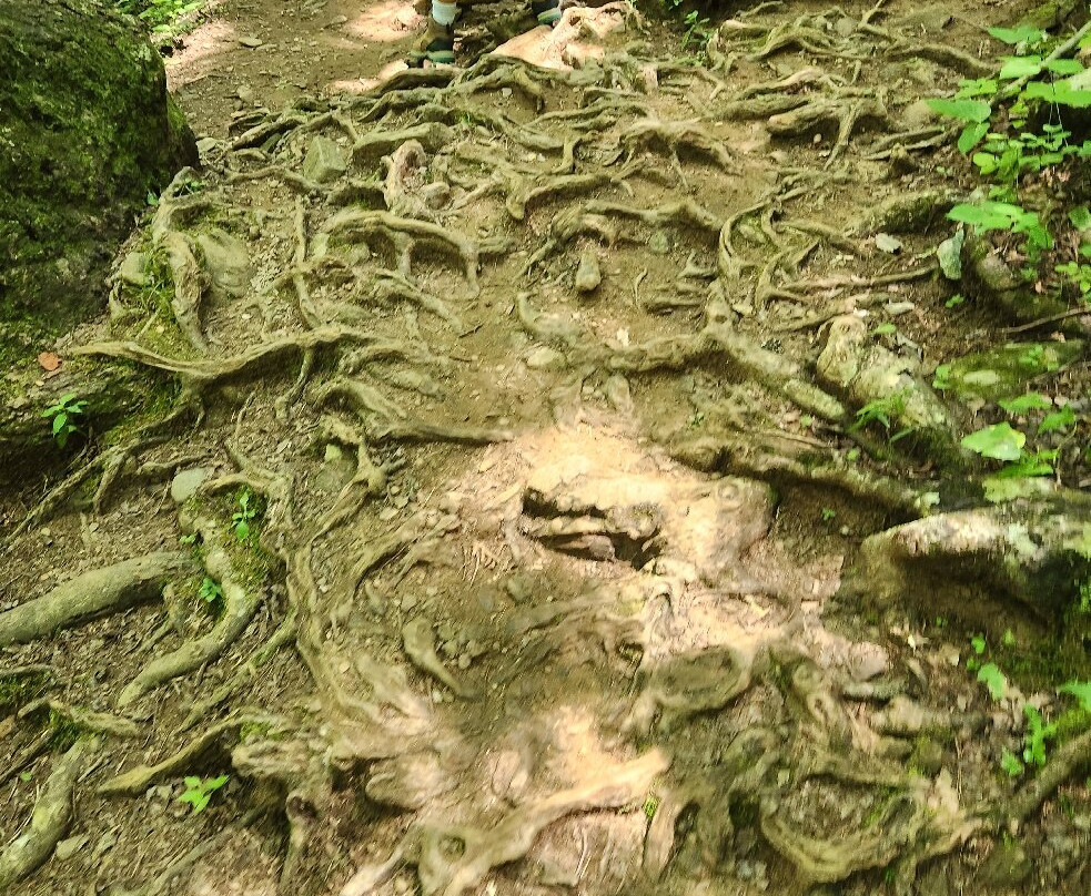 Blue Hole Falls-Hiawassee必去景点