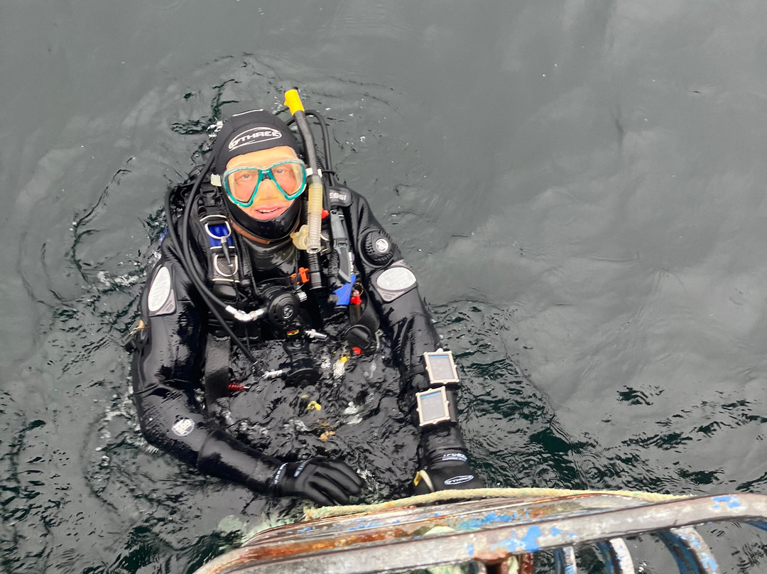 Diver's Eye Boat Trips-Stein必去景点