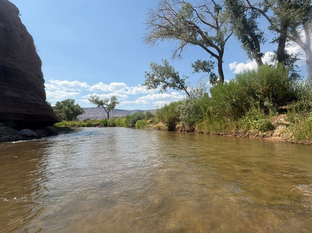 Zion Tubing-Virgin必去景点