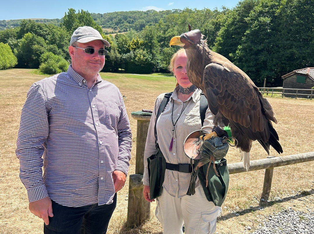 The Falconry Experience-纽波特必去景点
