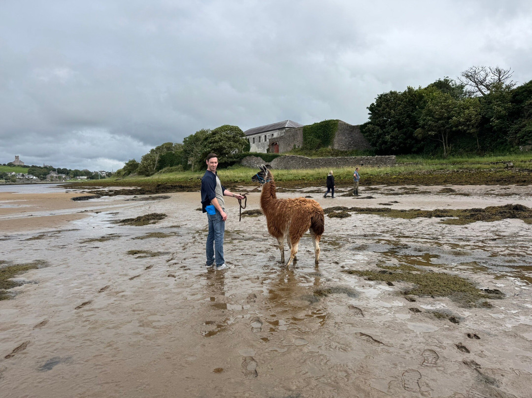 Campview Farm-Ballyshannon必去景点
