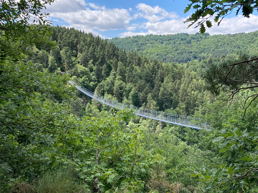 Passerelle Des Gorges Du Lignon-Saint-Maurice-de-Lignon必去景点