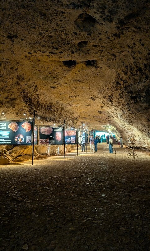 Rouffignac Cave-Rouffignac-Saint-Cernin-de-Reilhac必去景点
