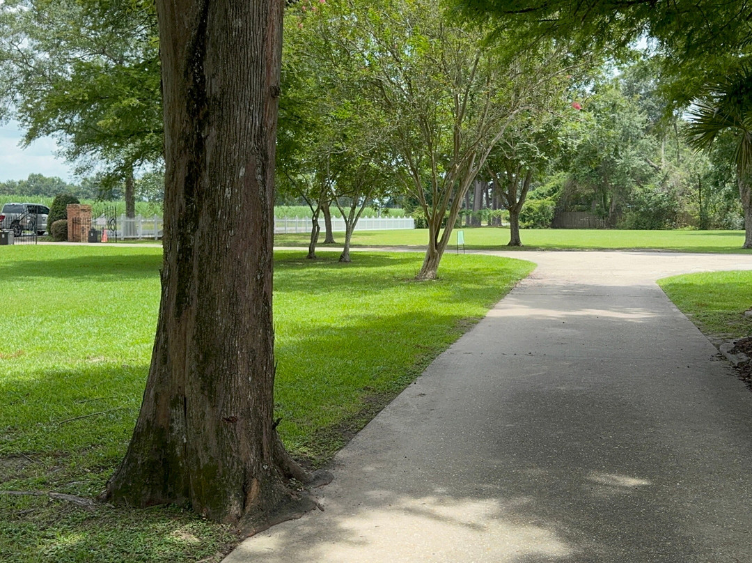 Louisiana Cajun Mansion Bed & Breakfast主图