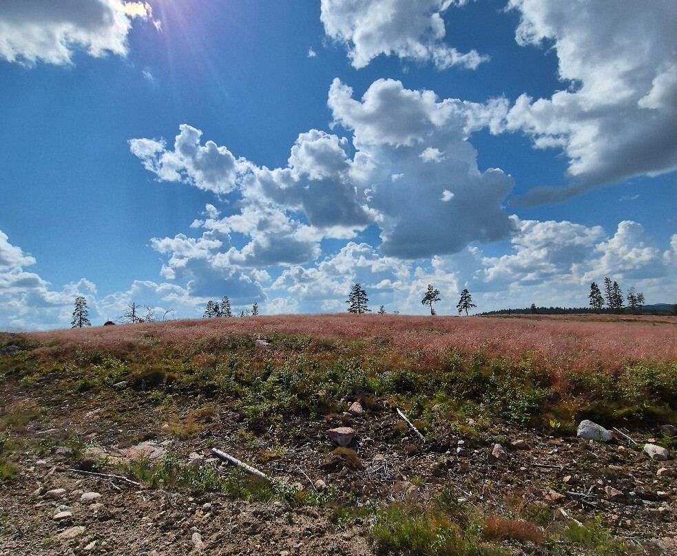 Quad Safari Sweden-Torsby必去景点