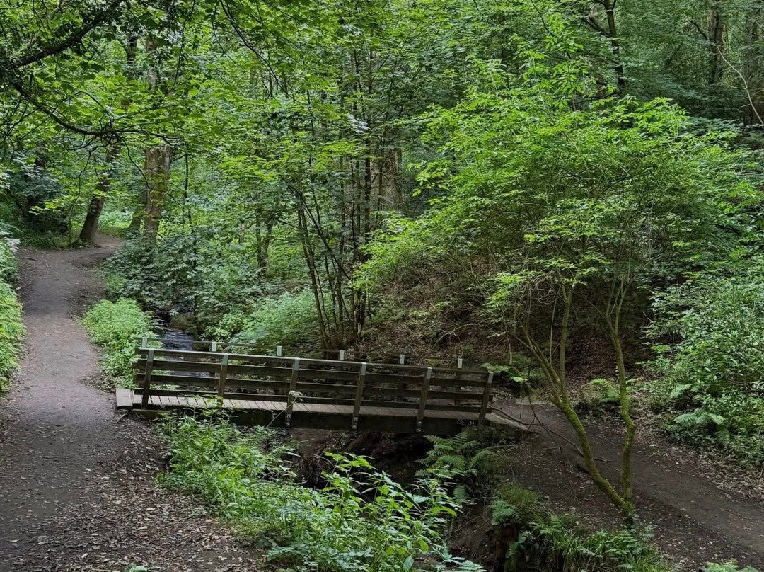 Fairy Glen-Appley Bridge必去景点