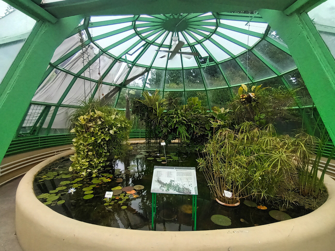 Botanical Garden-萨格勒布必去景点