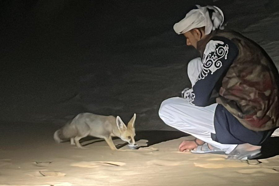 White Desert Egypt Tours-Bahariya Oasis必去景点