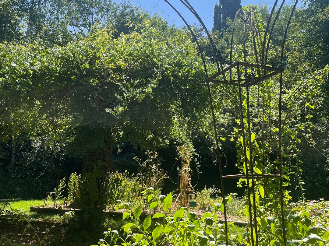 Camifolia Garden-Chemille必去景点