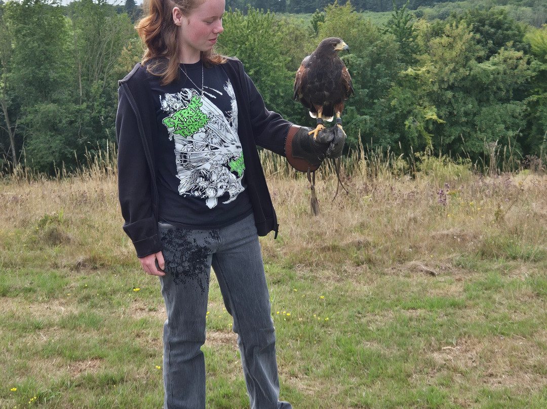 Kent Falconry Centre-Throwley必去景点