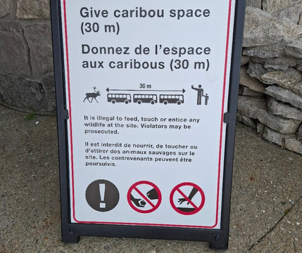 Wildland Tours-圣约翰必去景点