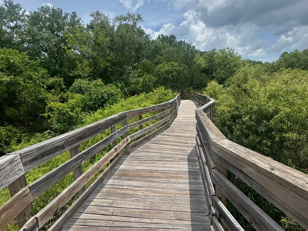 Scipio Creek Boardwalk-Apalachicola必去景点
