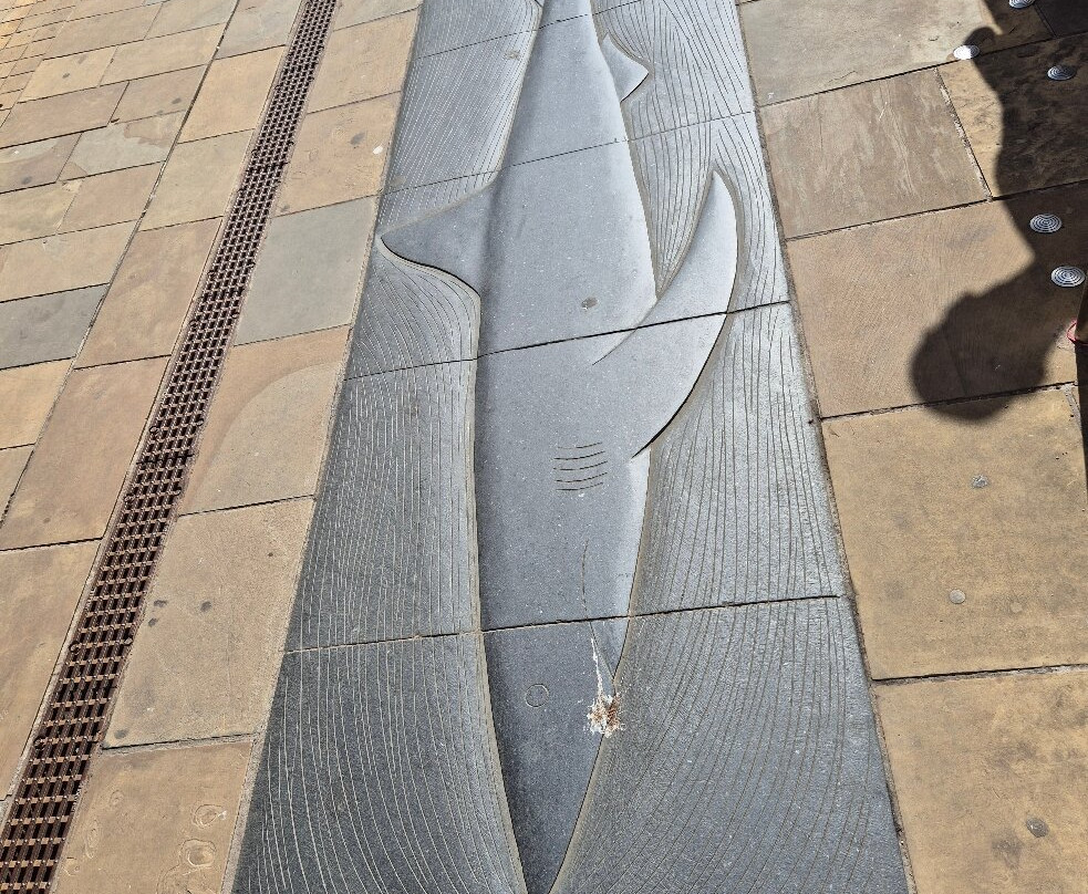 Seven Seas Fish Trail-赫尔河畔金斯顿必去景点