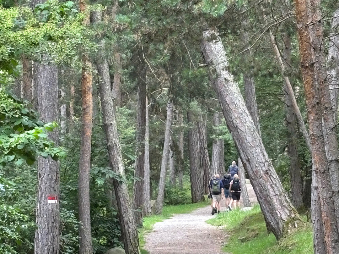 Freud Promenade-Renon必去景点