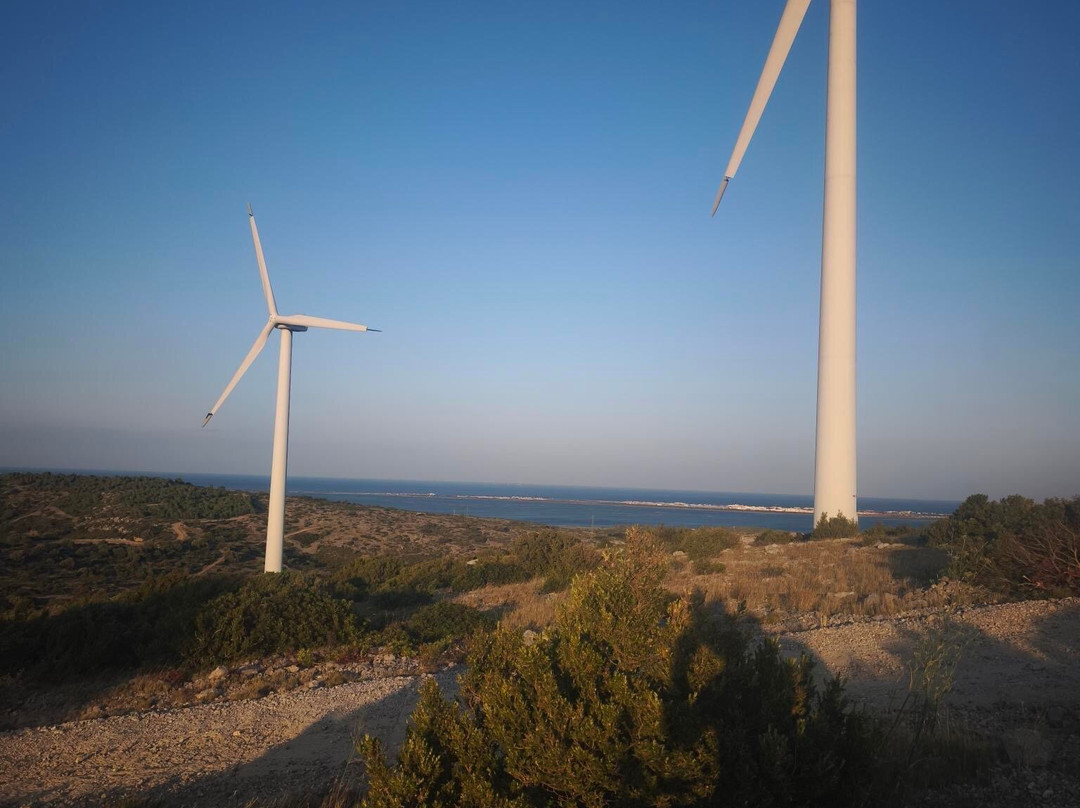 Quadiloc-Fitou必去景点