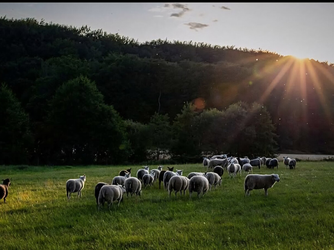 Pensionat Soderasen主图