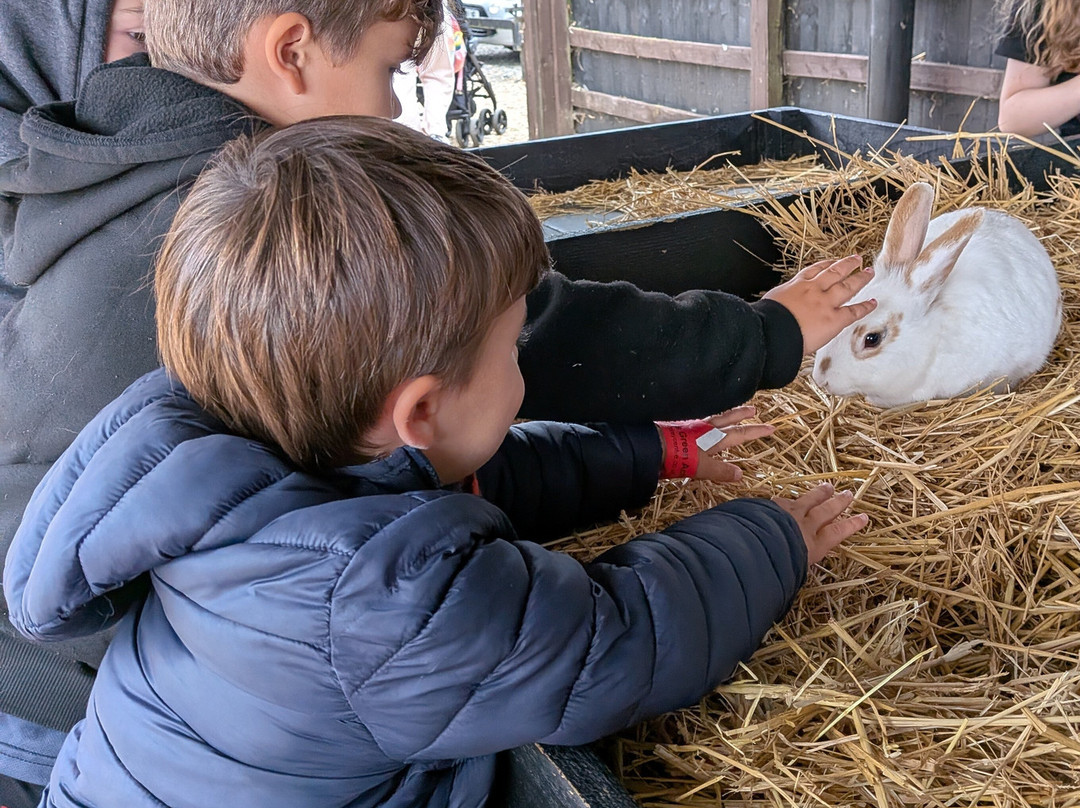 Herring Green Activity Farm-贝德福德必去景点