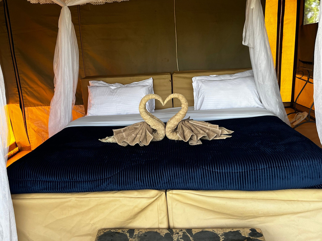 Livingstone's Africa-阿鲁沙必去景点