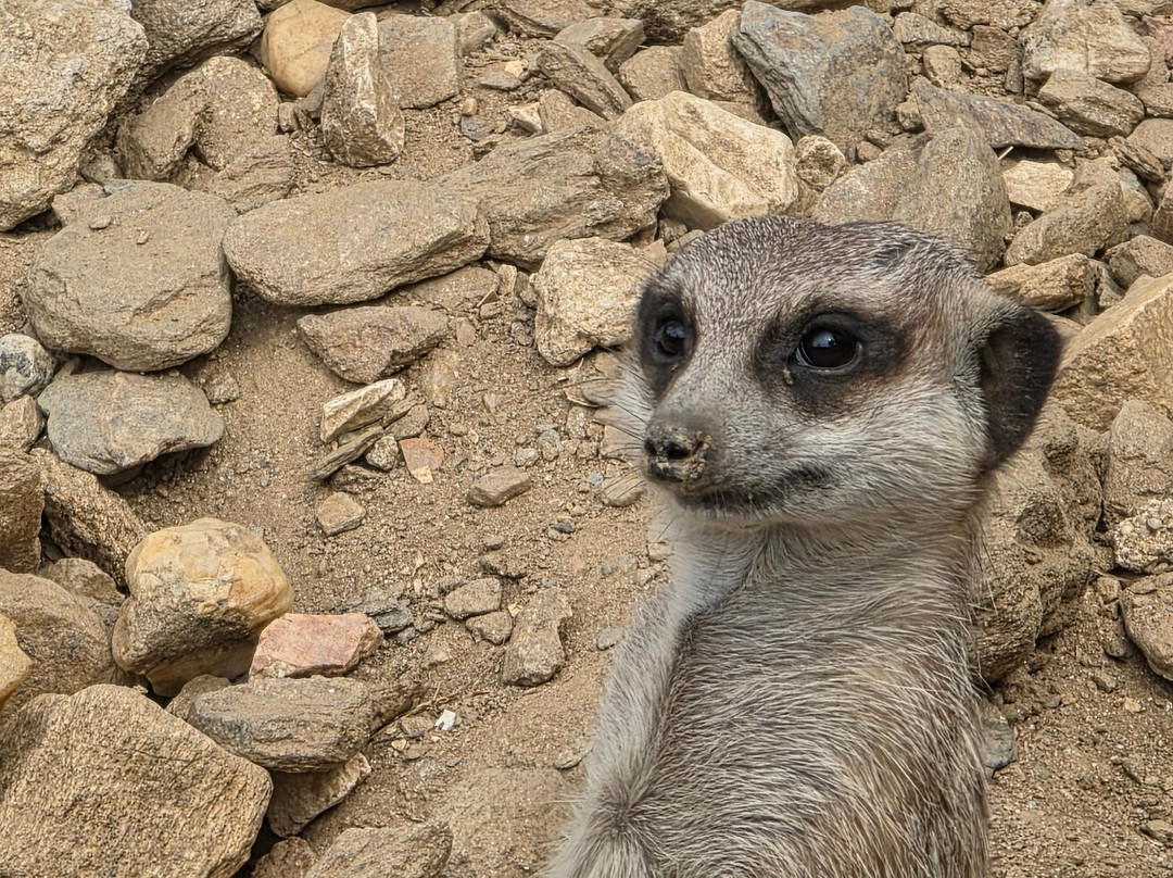 Jardin Zoologique Tropical-La Londe Les Maures必去景点