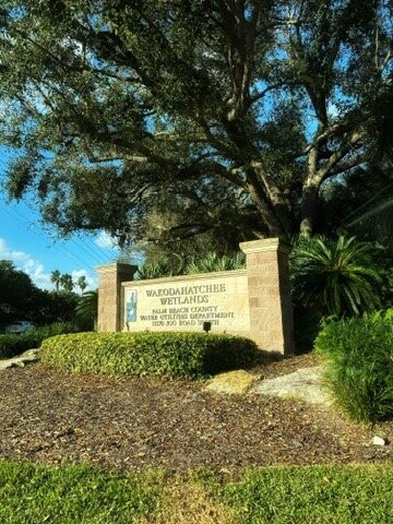Wakodahatchee Wetlands-德拉海滩必去景点