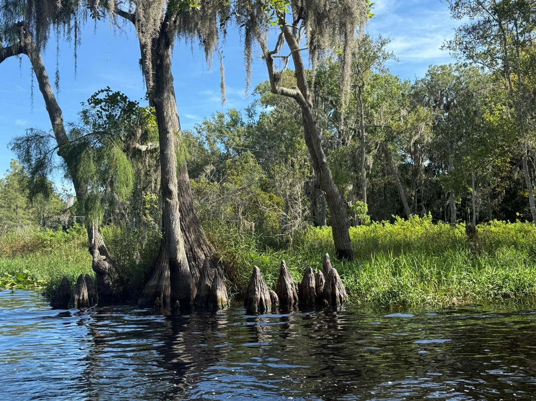 Catboat Escapes-Clermont必去景点