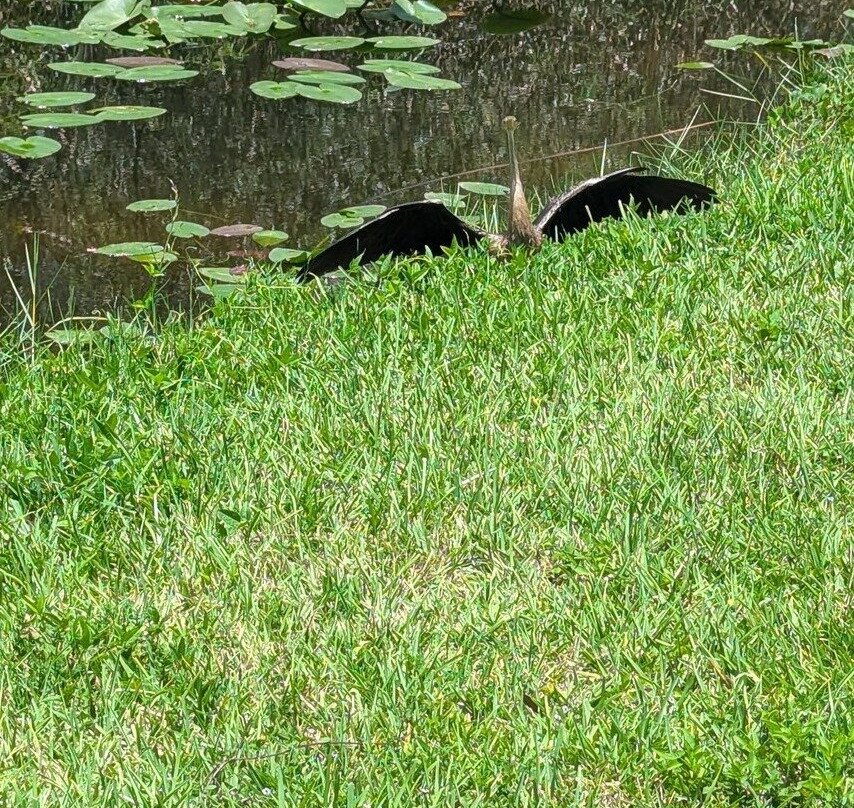 Flamingo Visitor Center-大沼泽国家公园必去景点