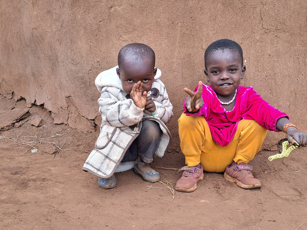 Chideri Safari & Taxi Service-迪亚尼必去景点