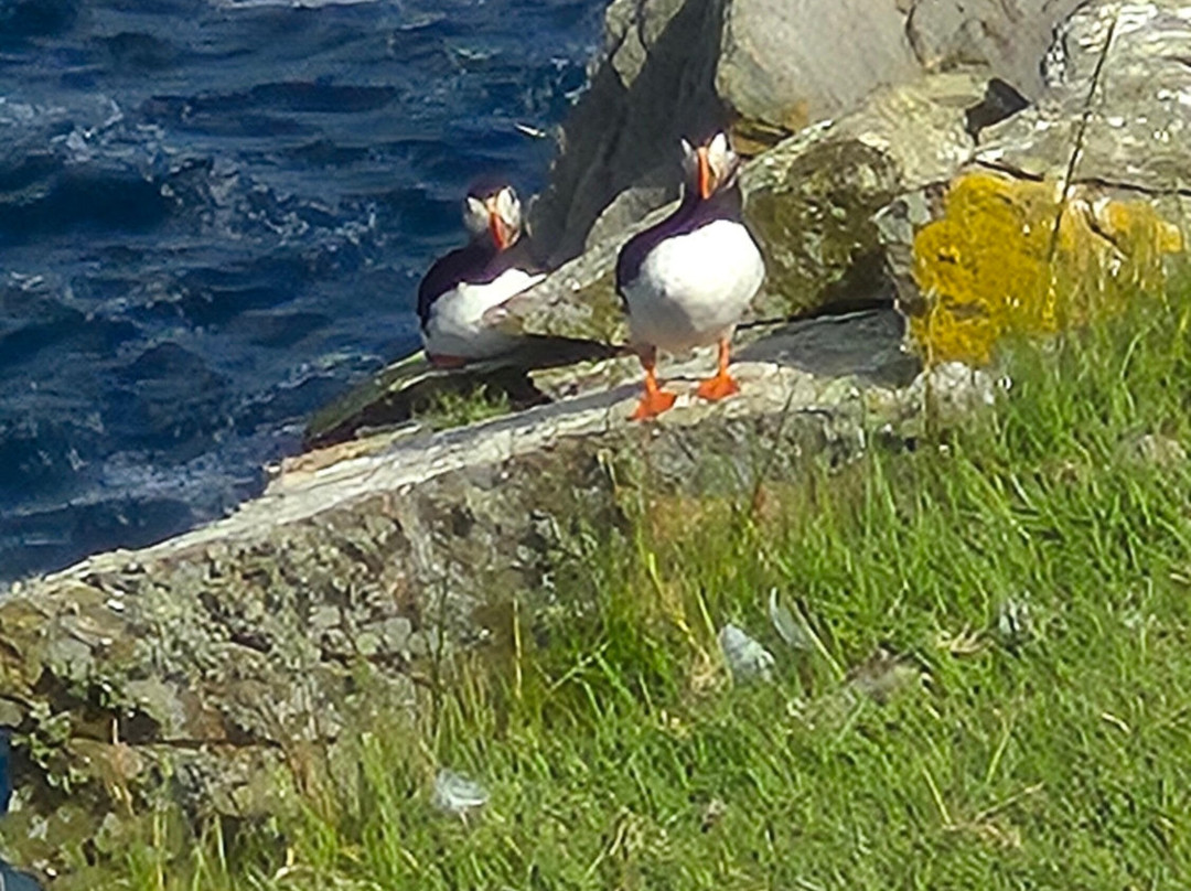 Shetland Nature-Unst必去景点