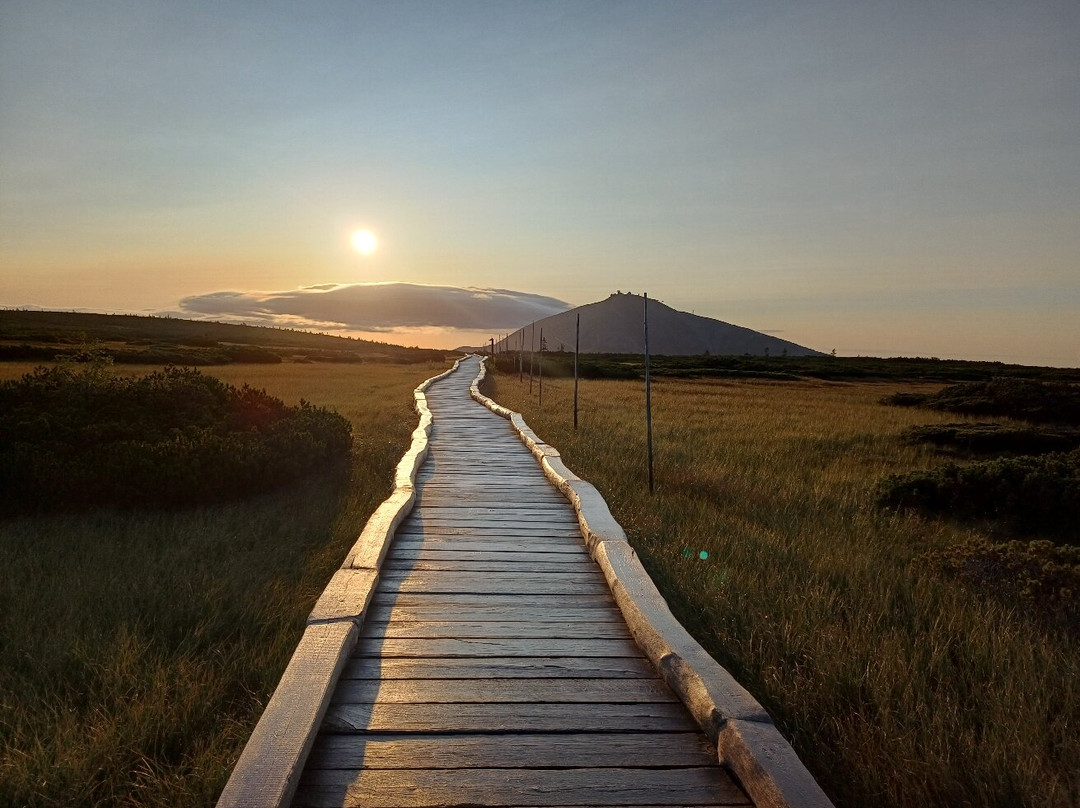 Hotel Friesovy Boudy主图