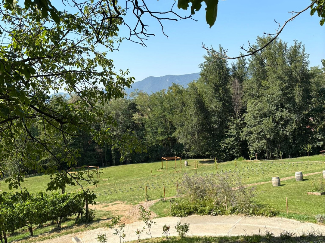 Cascina Belmonte-Muscoline必去景点