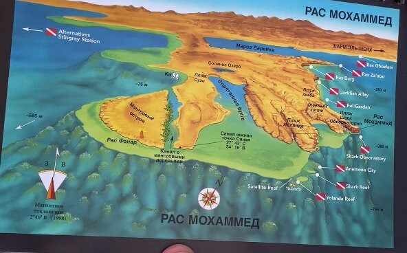 Easy Divers-沙姆沙伊赫必去景点