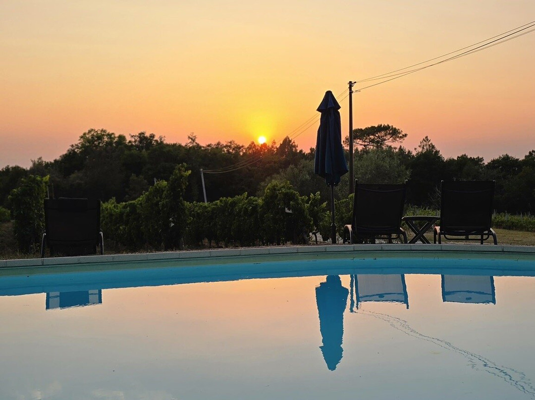 Vandenbeld Wines B&B主图