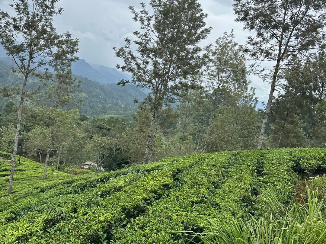 Elgant Island Tours-Katana必去景点