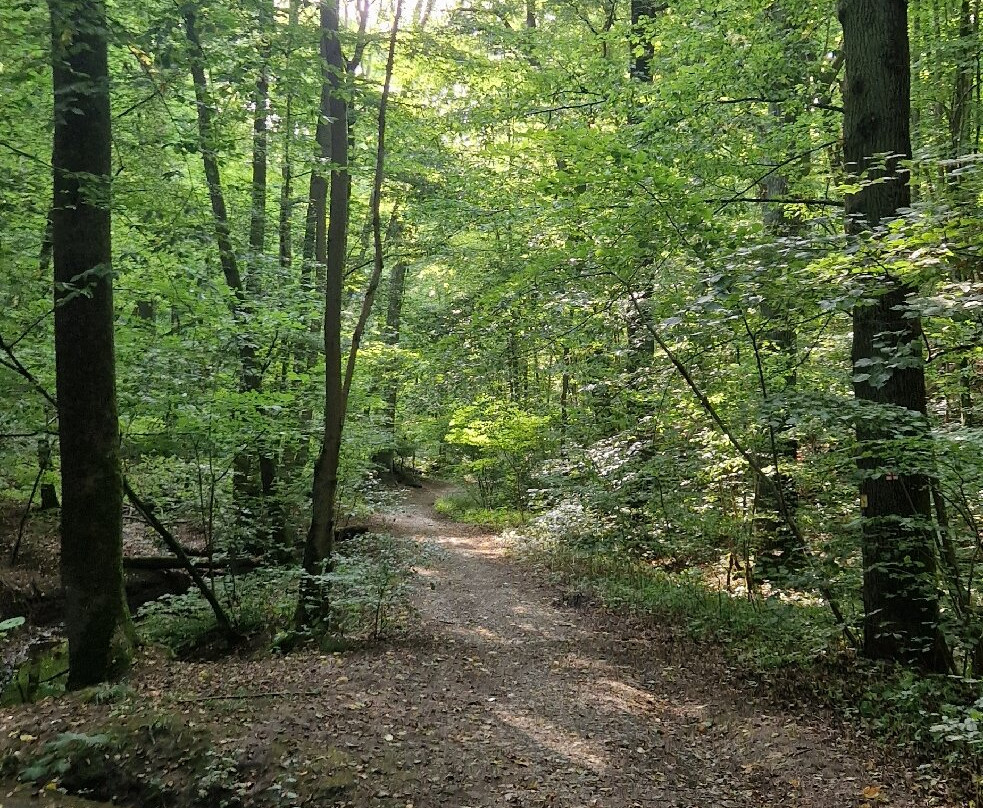 Waldgasthof Wildbad主图