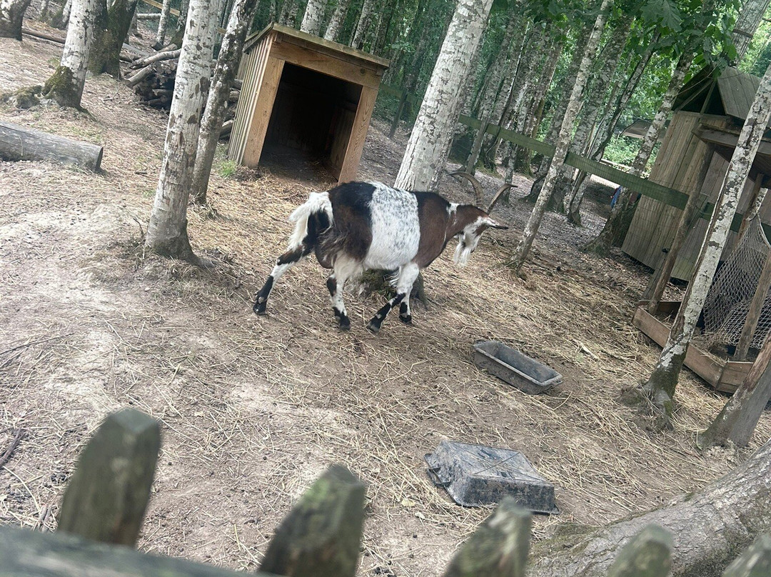 Le Grand Défi-Saint-Julien-des-Landes必去景点
